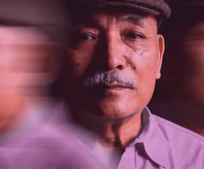 Elderly dementia care in India